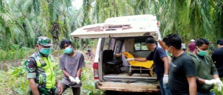 Penemuan Mayat Laki-laki Membusuk di Kebun Sawit, Aceh Singkil: Tidak Ada Bekas Kekerasan